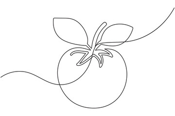 Tomato single line art drawing minimal style fresh vegetable isolated vector illustration