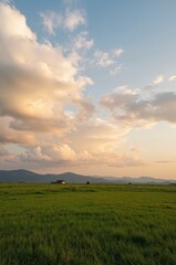 Fototapeta premium Almond-Tinted Wonders Underneath the Horizon