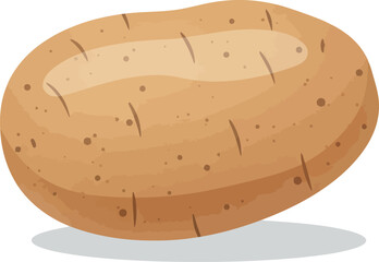 Isolated potato illustration