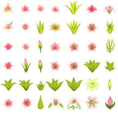 Collection d'Illustrations Stylisées de Lys Roses et de Feuilles Vertes sur un Fond Gris – Design Floral et Organique