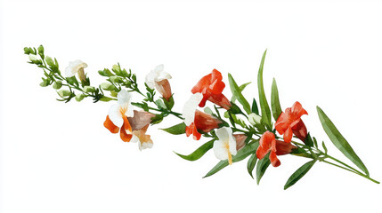 Watercolor botanical illustration of snapdragon flowers in vibrant colors, showcasing nature beauty and elegance