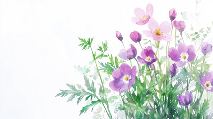 Watercolor botanical illustration featuring delicate pink and purple flowers with green foliage, evoking serene and natural