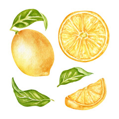 A set of watercolor illustrations with lemons, leaves, lemon halves, citrus fruits. A collection of juicy fruits for packaging design, kitchen textiles. A branch of citrus, a botanical illustration.