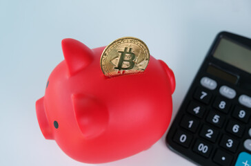 A red piggy bank with a gold coin on top and a calculator next to it