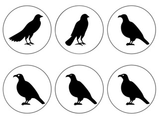 Fototapeta premium Six black bird silhouettes in white circles on a gray background