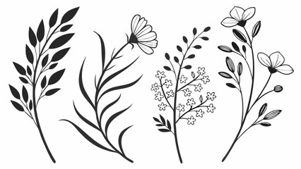 Elegant black and white botanical line-art set featuring diverse hand-drawn floral branches, minimalist flower outlines, and leaf sprigs for modern graphic design projects