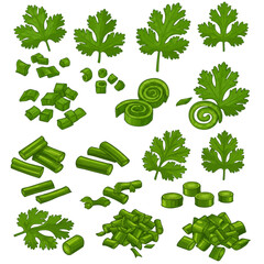 Fresh coriander and green onion cuttings provides a graphic design element for culinary, nutritional, or gardening themed projects.