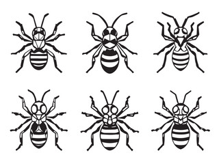 wasp insect line art drawing