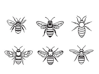 Simple Bee Line Drawing Collection