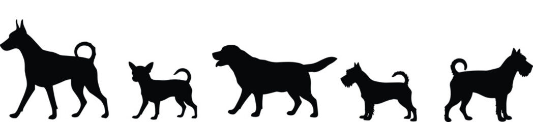Silhouettes of multiple dog breeds walking and standing, black vector pets illustration, domestic animals clipart, canine group graphic art