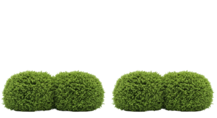Four identical vibrant green bushes meticulously arranged in a straight row, sharply defined foliage on a seamless transparent studio background with diffused shadowless lighting, a slightly