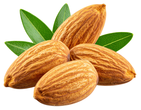 Fresh almonds with green leaves isolated on Transparent Background