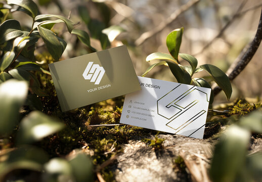 Two Business Cards On Moss In Undergrowth Mockup