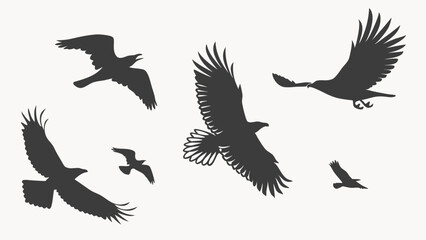 Obraz premium Black silhouettes of flying eagles and raptors. Multiple birds in various flight poses soaring and gliding, isolated on white background. Vector illustration for wildlife and nature designs.