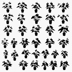 A collection of thirty silhouettes of potted Anthurium plants, each with varying leaf and flower arrangements, displayed on a transparent background.