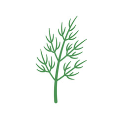 Fototapeta premium Simple Green Dill Plant Illustration