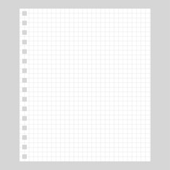 Blank squared sheet template for notebook.