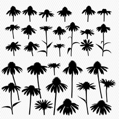 Fototapeta premium Collection of Echinacea flower silhouettes in various sizes and orientations, showcasing different stages of bloom and stem positions against a white background.