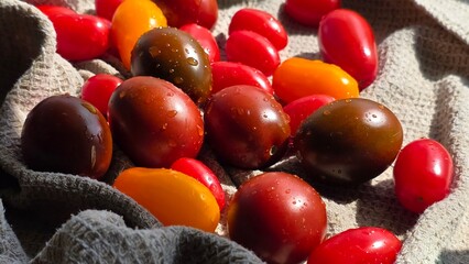 Small tomatoes and large tomatoes red and orange juicy in the sunshinechocolate easter eggs