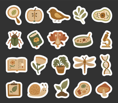 Biology object set in scandinavian style with insects, animals, plants, equipment, books, tools and microbiology for your educational illustration and creative designs projects