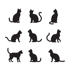 Elegant Cat Silhouette