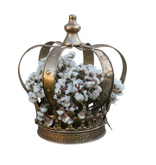 Vintage golden crown filled with delicate white dried flowers, isolated on transparent background. 