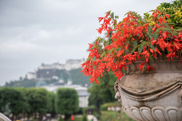 Salzburg, Festung Hohensalzburg im Hintergrund, Mirabellgarten, 