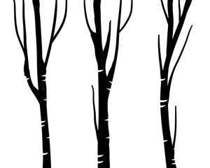 Silhouette of Birch Trees with Leaves in Minimalist Style hand drawn.