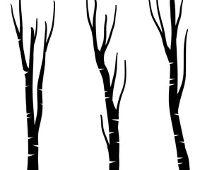 Silhouette of Birch Trees with Leaves in Minimalist Style hand drawn.