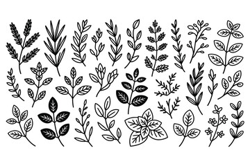 Fototapeta premium Minimalist Hand Drawn Leaf Illustrations for Modern Designs