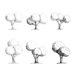 Hand-Drawn Tree Sketch Set – Vintage Ink Style