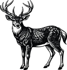 Deer Illustration A Single Image Design Featuring a Canine Character in EPS Format