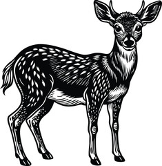 Elegant Roe Deer Vector Illustration for Wildlife Nature and Forest Themed Designs