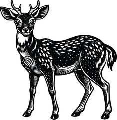 Elegant Roe Deer Illustration Detailed Vector Design with CMYK Colors and Classic Fonts