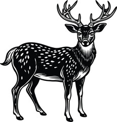Sika Deer Illustration Detailed Vector Artwork for Creative Projects and Design Resources