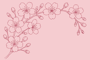 White sakura flower outlines spread across a pink background in this vector, creating a calm, romantic, and minimalist floral atmosphere with seasonal charm.   © primus