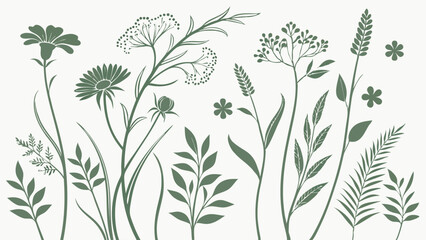 Collection of green botanical silhouettes. Wildflowers, herbs, and diverse plants in a minimalist vector illustration set. Nature flora design elements.