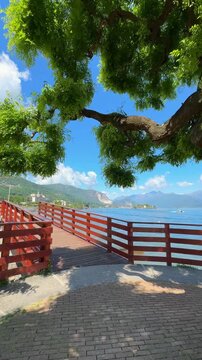 Follow-me style video walking onto a wooden footbridge over a small stream flowing into Lake Como, with a large scenic tree nearby. Peaceful nature walk in northern Italy