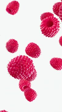 Vivid red raspberries fall on plain white background with crisp texture and strong color contrast in front view, for healthy food promo footage