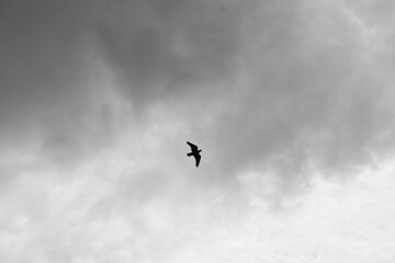 Sky above!
