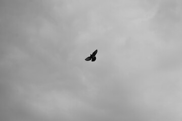 Sky above!