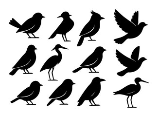 Birds Silhouette Designs
