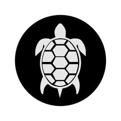 Obraz premium turtle animal vectors symbol design