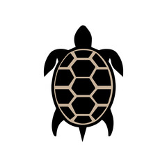 Obraz premium Turtle marine animal icon. Sea turtle silhouette. vector illustration