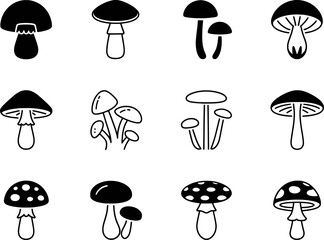 Diverse Mushroom Illustrations Black White fungi nature