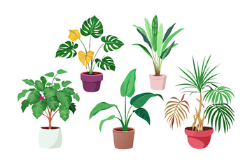 Obraz premium Collection of five potted houseplants with diverse leaf shapes and colors