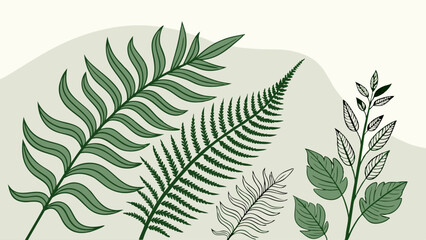 Diverse green fern leaves and botanical foliage vector illustration. Flat design nature plant collection for natural decor, organic backgrounds, and web.