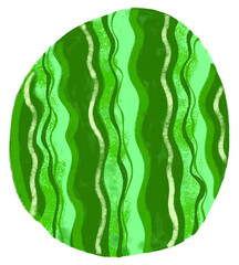 Hand drawn whole watermelon fruit on transparent background.