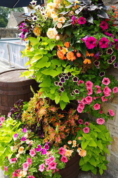 Baslow, The Peak District, England - July 14 2025: Colorful hanging flower arrangement in rustic barrels on display
