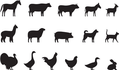 Animal icon graphic design 
